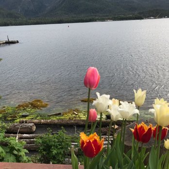 Black Bear Inn - Bed & Breakfast Near Me - Ketchikan, Alaska