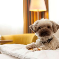 arcona Hotel Baltic - Guest room