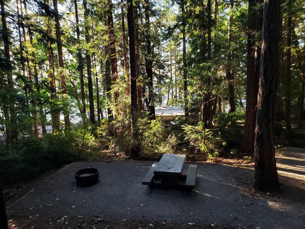 SEAL ROCK CAMPGROUND Updated August 2024 18 Photos 295142 Highway