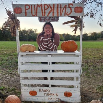 Hawk's Pumpkin Patch - Pumpkin Patches Near Me - Winston-Salem, North Carolina