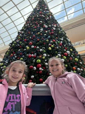 Ice at the Galleria by null