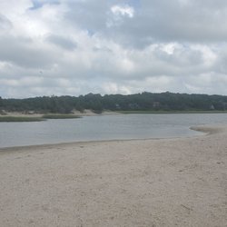 Maidstone Beach