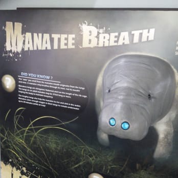 Manatee Viewing Center - push the button to smell the manatee's breath! - Zoos Near Me - Apollo Beach, Florida Manatee Viewing Center - push the button to smell the manatee's breath! - Zoos Near Me - Apollo Beach, Florida