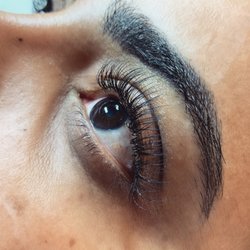 Lash Oasis - Classic