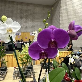 Hawaii Convention Center - Venues & Event Spaces Near Me - Honolulu, Hawaii Hawaii Convention Center - Venues & Event Spaces Near Me - Honolulu, Hawaii
