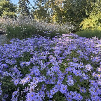 Bellevue Botanical Garden - Botanical Gardens Near Me - Bellevue, Washington