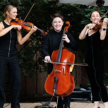 Eclecta Strings - Musicians Near Me Eclecta Strings - Musicians Near Me