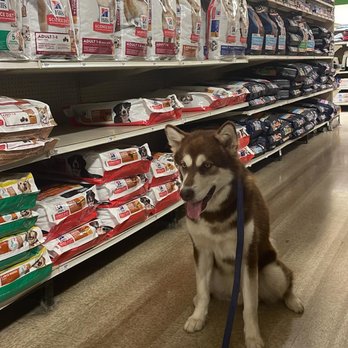 Beth's K9 Training - The basic obedience Beth taught us and Apollo! - Pet Training Near Me - Fremont, California
