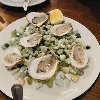 Camelia - Oysters. Tasty. - French Near Me - Los Angeles, California Camelia - Oysters. Tasty. - French Near Me - Los Angeles, California