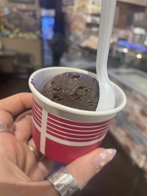 The City Creamery by null