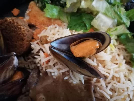 Big Marina Grill & Deli by null