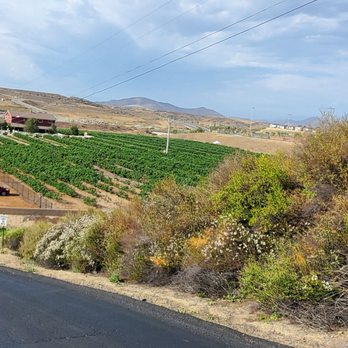 Temecula Berry - Temecula Berry Co. - Farms Near Me - Temecula, California Temecula Berry - Temecula Berry Co. - Farms Near Me - Temecula, California