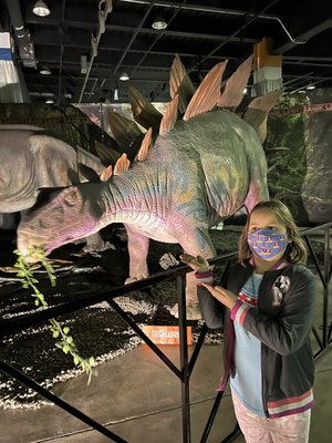 Donald E. Stephens Convention Center by null