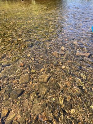 Front Royal Outdoors by null