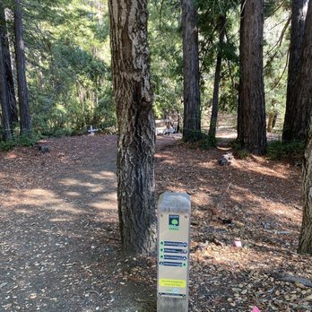 Huddart County Park - Parks Near Me - Woodside, California Huddart County Park - Parks Near Me - Woodside, California