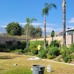 Joe's Tree Care - This crew was very thorough and even set aside breakable yard figurines while setting them back afterwards. Top Notch ..