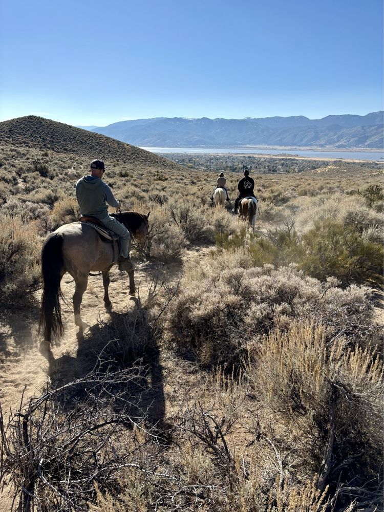 Heavenly Hoofprints - equestrian in New Washoe City, NV