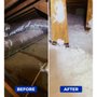 Photo of Pro Elite Insulation