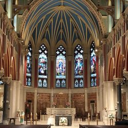 Cathedral of the Immaculate Conception - Altar