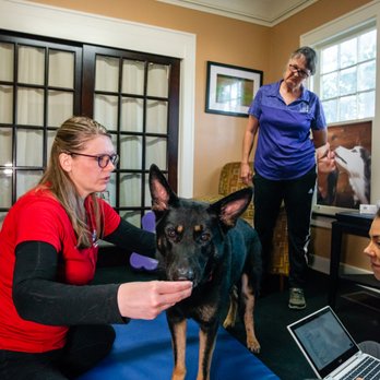 Florida Veterinary Rehabilitation - Veterinarians Near Me - Deland, Florida Florida Veterinary Rehabilitation - Veterinarians Near Me - Deland, Florida