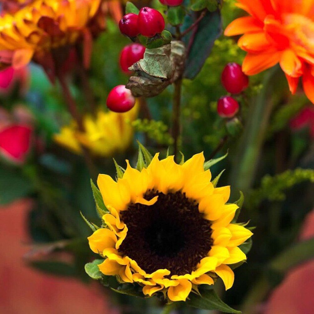 Fifty Flowers - Floral Designers Near Me Fifty Flowers - Floral Designers Near Me