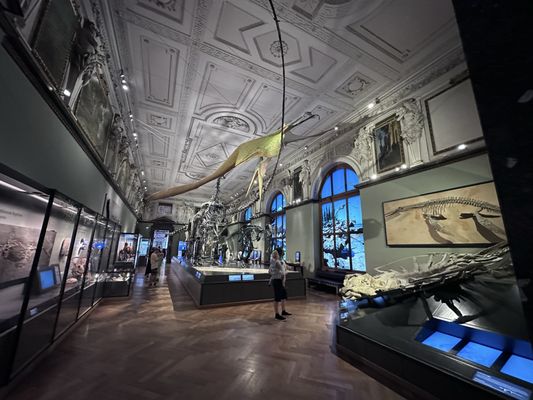 Museum of Natural History Vienna by null