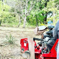 Daniel's Tree Trimming Service