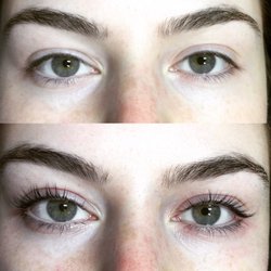 Elite Lash Studio - Lash Lift and Tint