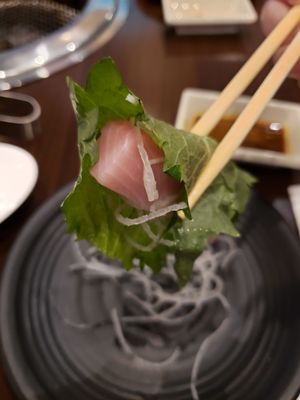 Shogun by null