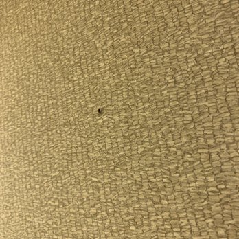 Bahia Resort Hotel - San Diego, CA