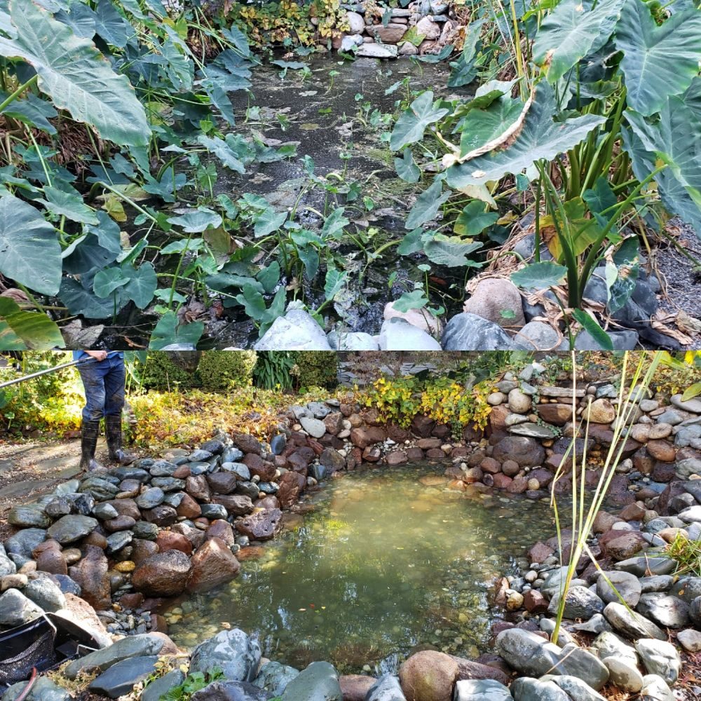 A.G. AQUARIUMS AND PONDS 89 Photos & 10 Reviews Folsom, California