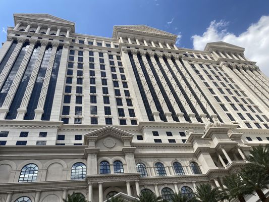 Venus Pool + Lounge by null