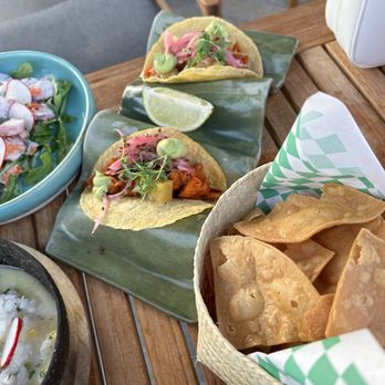 Maiz y Agave - Tacos - Mexican Near Me - Miami, Florida Maiz y Agave - Tacos - Mexican Near Me - Miami, Florida
