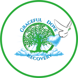 Graceful Dove Recovery