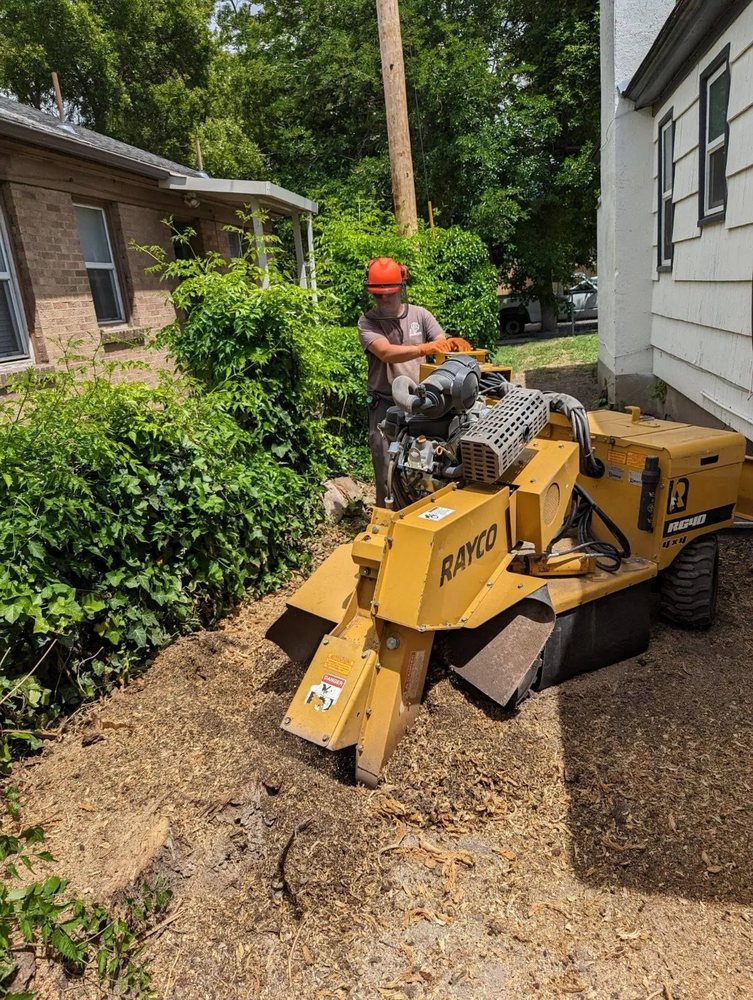Utah Stump Grinding - tree service in Salt Lake City, UT
