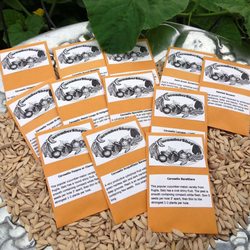 Cucumber Shop Seed Packets