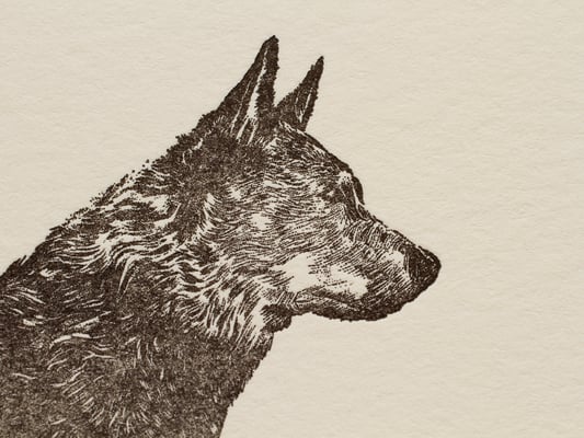 Iron Curtain Press by null