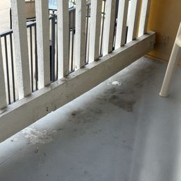 Bird poop all over balcony