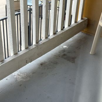 Dana Point Marina Inn - Bird poop all over balcony - Hotels Near Me - Dana Point, California