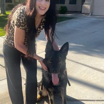Specialty Dog Training - Pet Training Near Me - Oceanside, California