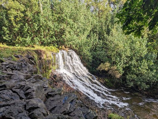 Ho'opi'i Falls by null