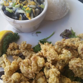Hurricane Mo's - Best Oysters and Black bean's and sticky rice ever!!!### - Bars Near Me - Kitty Hawk, North Carolina Hurricane Mo's - Best Oysters and Black bean's and sticky rice ever!!!### - Bars Near Me - Kitty Hawk, North Carolina