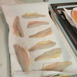 Bay Port Fish