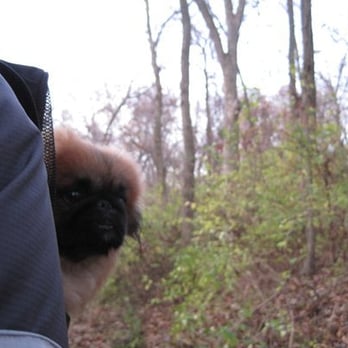 Pere Marquette State Park - Gizmo-pack to the rescue. - Parks Near Me - Grafton, Illinois Pere Marquette State Park - Gizmo-pack to the rescue. - Parks Near Me - Grafton, Illinois