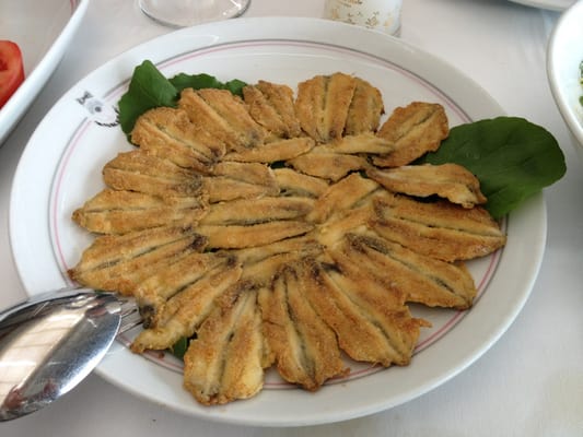 Rumelihisarı İskele Restaurant by null