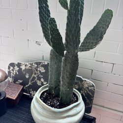 Harmony Pottery