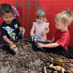 Montessori Academy Of West Adams