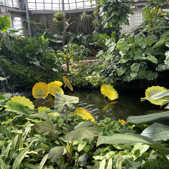 Garfield Park Conservatory - Parks Near Me - Chicago, Illinois