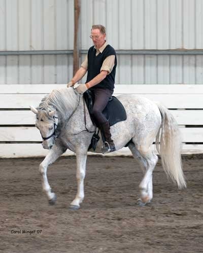 Hans Tegelmann German Riding Trainer Logo