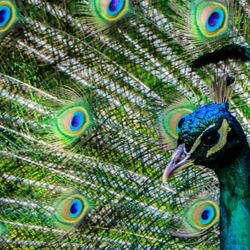 OutMarket.Pro - Brilliant, beautiful marketing doesn't have to cost a fortune.